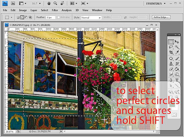 step1.jpg