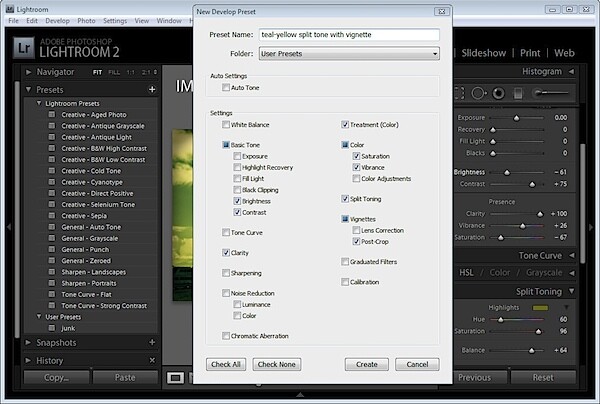presets4.jpg