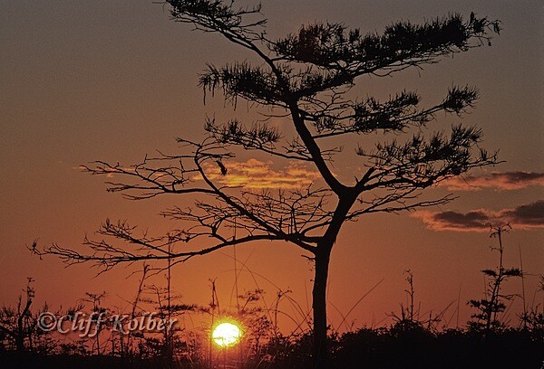 Cliff Kolber_Pahayokee Sunrise 2.jpg