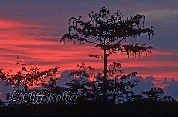 Cliff Kolber_Pahayokee sunrise4.jpg