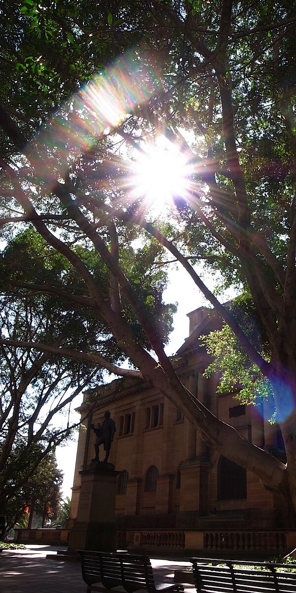 Mitchell Library and sun flare.jpg