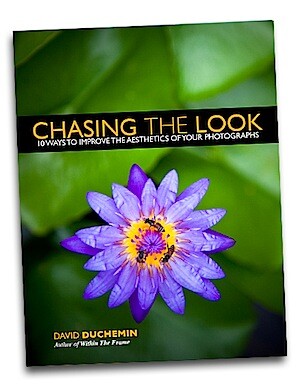 chasing-the-look-blog-cover.jpg