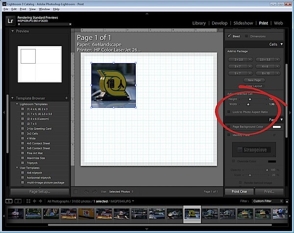 step3.jpg