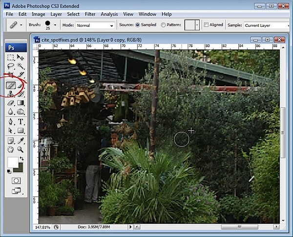 step4.jpg