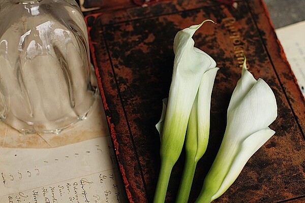 still-life900-tm.jpg Exposure: 0.004 sec (1/250) | Aperture: f/2.8 | Focal Length: 50 mm | ISO Speed: 200