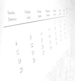 Copyright ellie