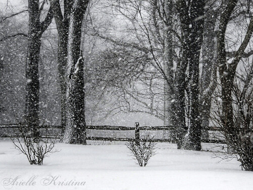 winter2