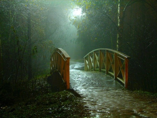 low-light-2 Image by V31S70