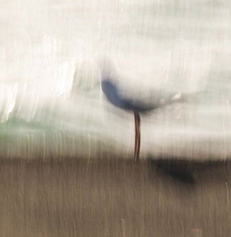 on edge by Eva Polak.jpg