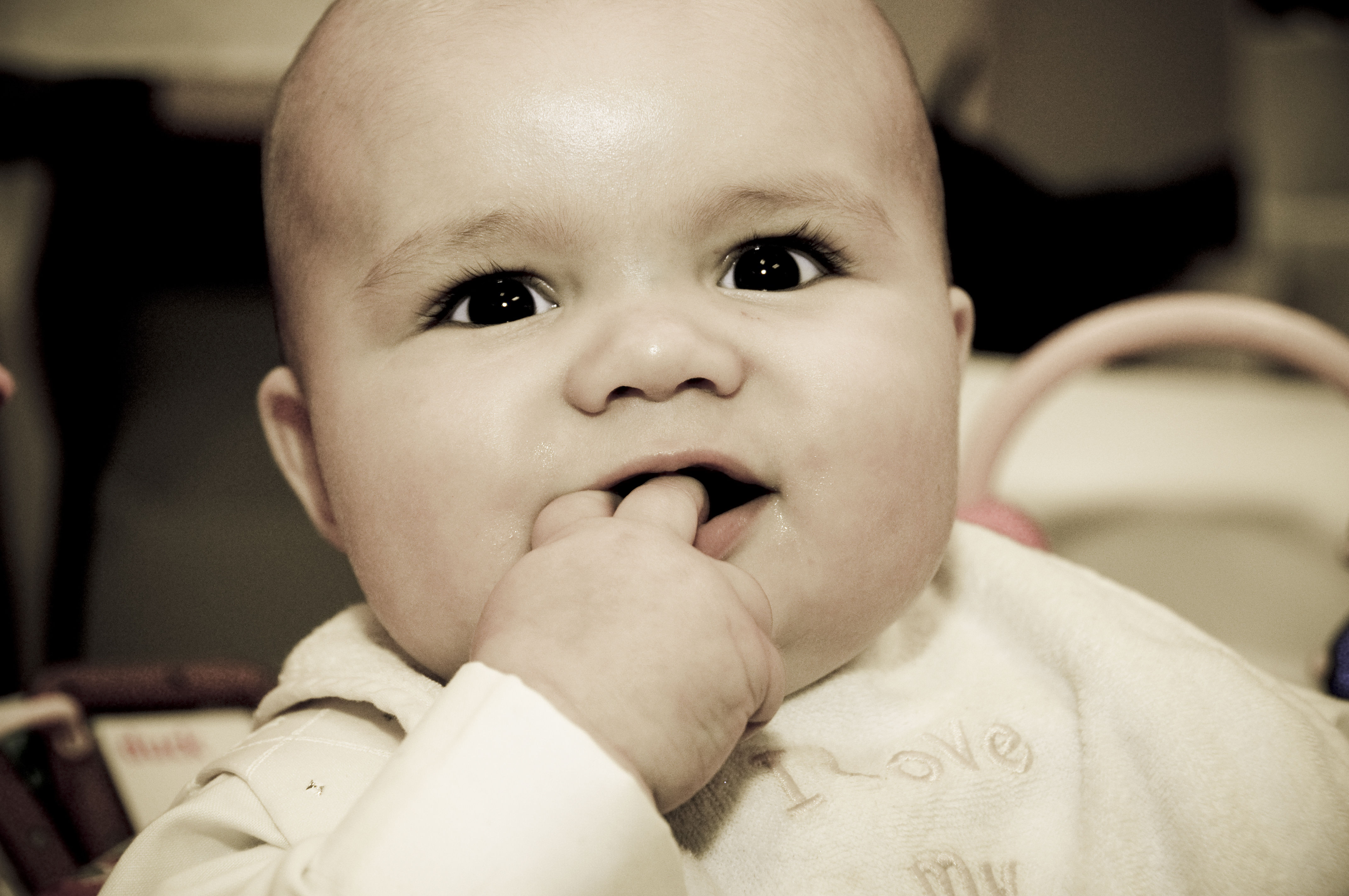 20091120-DSC_4372