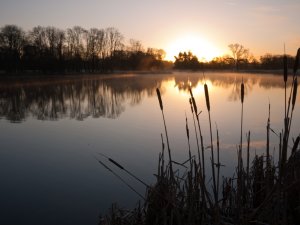 f/16, 1/60sec, ISO100