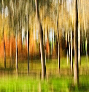 photography-workshop-1.jpg