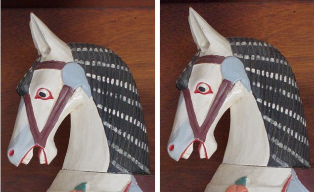 Pentax K x – taking shots at Nikon and Canon Horses Combined Pentax K x – taking shots at Nikon and Canon