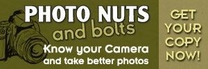 Discover How to Use Your Camera to Its Potential