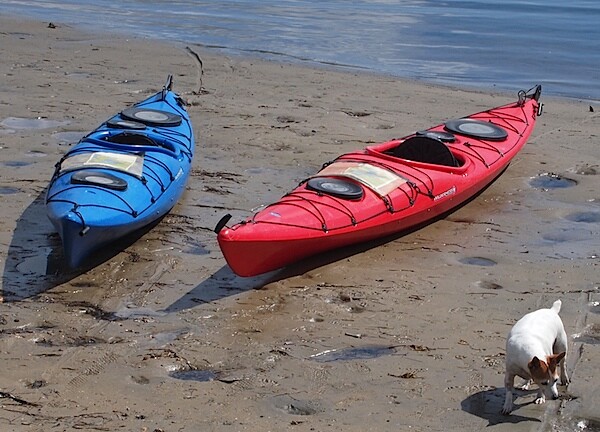 Canoes 1.jpg