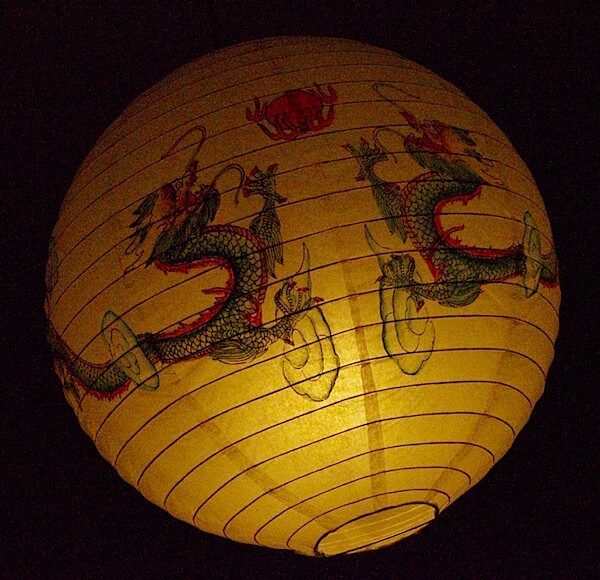 Chinese lantern 2 ISO 12,800 f14 1-2500 sec.jpg