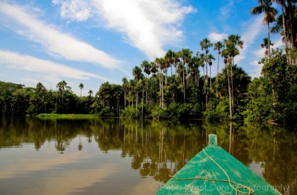 Gliding On An Oxbow Lake, Peru