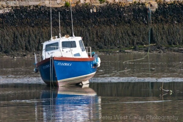 St. Patrick Needs More Water, Ireland