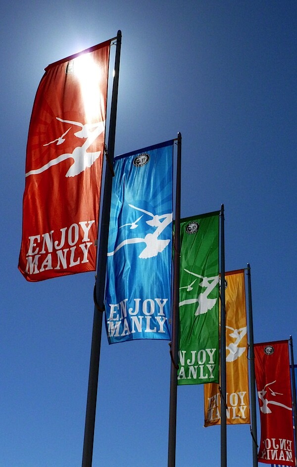 Flags 2.JPG
