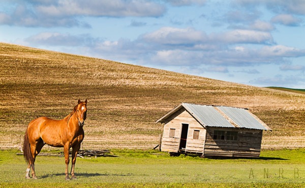 Landscape Composition 66.jpg