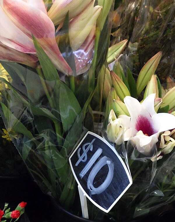 Flowers 3.6.10.JPG