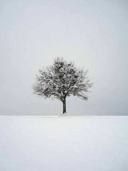 overcast