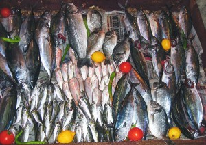 Fish outside a Bosphorus restaurant, Istanbul, Turkey. Canon Ixus 400, automatic flash.