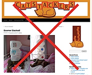 catstackers.jpg