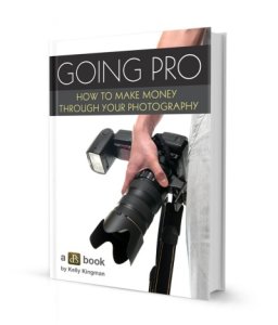 Going Pro_3d book 400