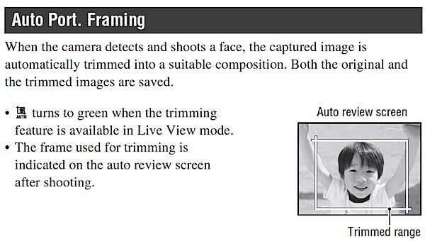 auto-portrait.jpg
