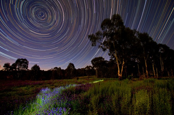 Star Trails