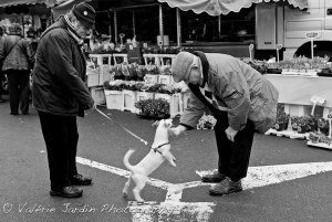 Photograph the locals.