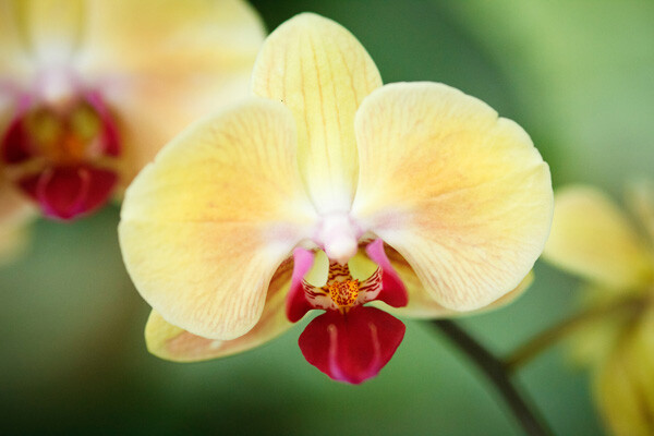 aperture-shutter-priority-05