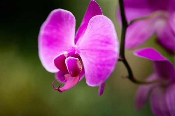 Close-Up-Lenses-04.jpg