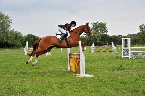 Horse trials