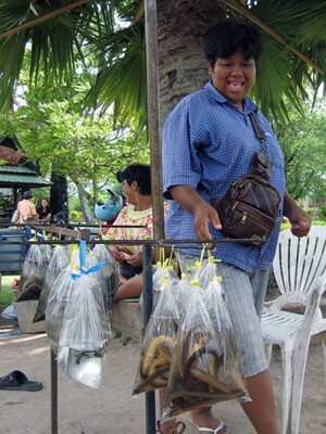 Pond creatures ready for release