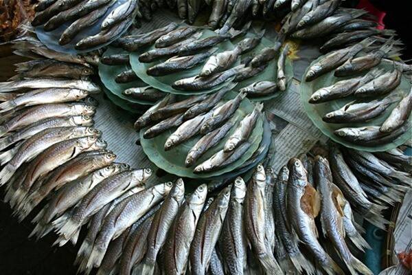 Salted fish