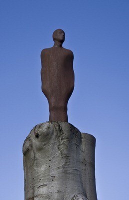 ysp man above