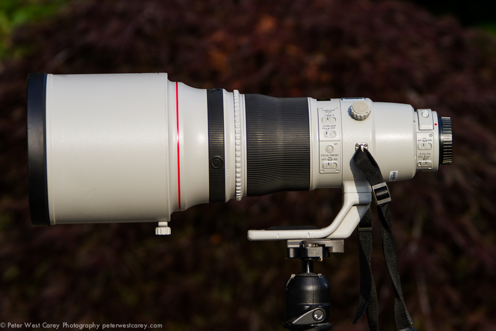 Canon EF 400mm f/5.6L USM -- Lens Sample Photo Archive in 