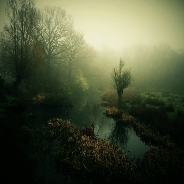 Robert-Paul Jansen_02