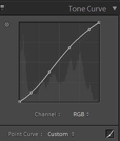 SLR Lounge HiB&W Tone Curve