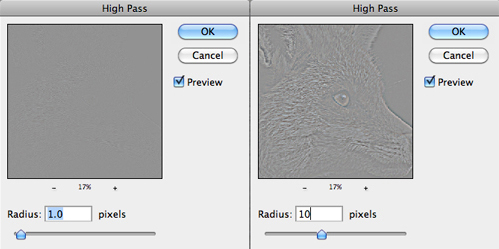 HIgh pass sharpening, step 4