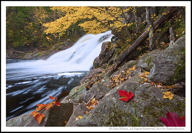 Overcast days are perfect for photographing water.
