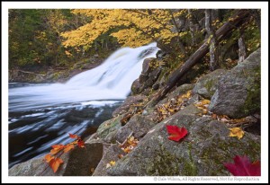 Mary Ann Falls
