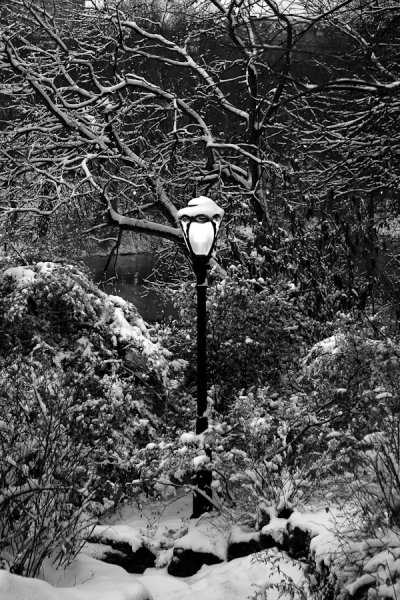 Lamppost at Dusk, Central Park