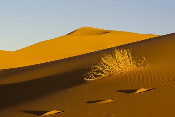 Erg Chebbi