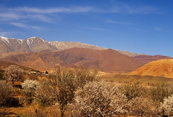 High Atlas near Agouim