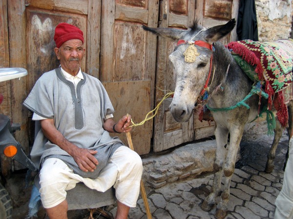 Man and donkey, Fes medina, Morocco