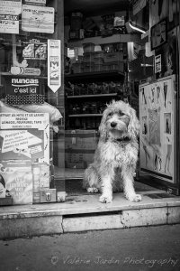 Street photography is not only about people...