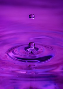 Water Drops_060609_0055-1(sRGB-Websize)